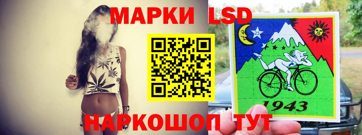 Псилоцибиновые грибы Кропоткин