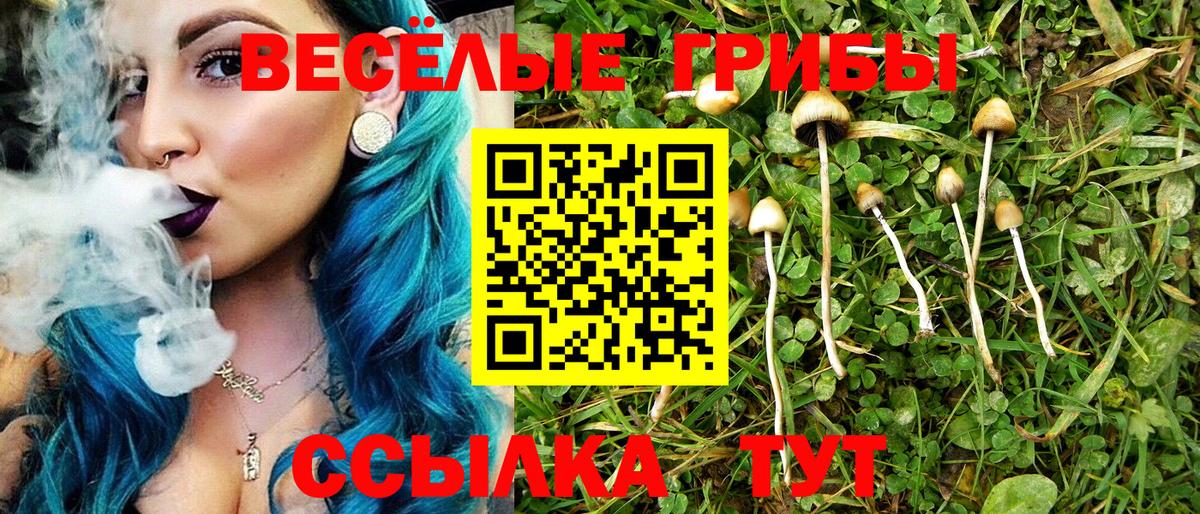 Псилоцибиновые грибы прущие грибы  Вход с VPN  Кропоткин 